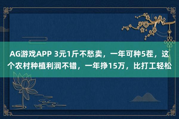 AG游戏APP 3元1斤不愁卖，一年可种5茬，这个农村种植利润不错，一年挣15万，比打工轻松