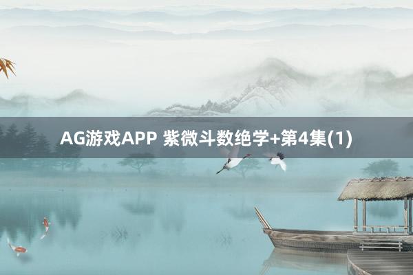 AG游戏APP 紫微斗数绝学+第4集(1)