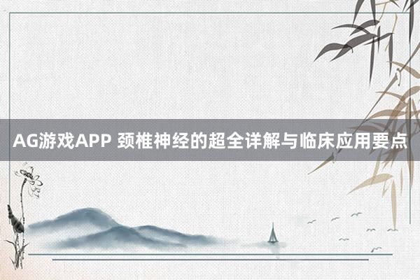 AG游戏APP 颈椎神经的超全详解与临床应用要点