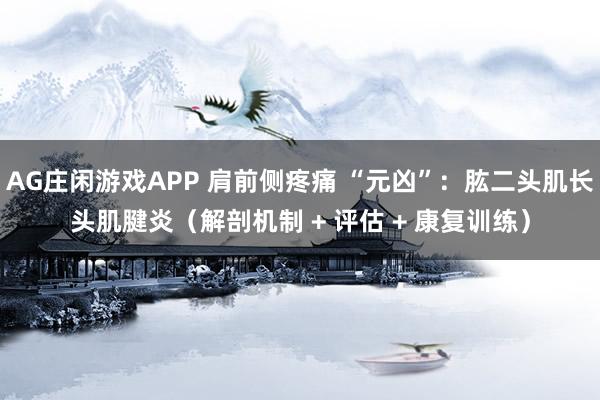 AG庄闲游戏APP 肩前侧疼痛 “元凶”：肱二头肌长头肌腱炎（解剖机制 + 评估 + 康复训练）