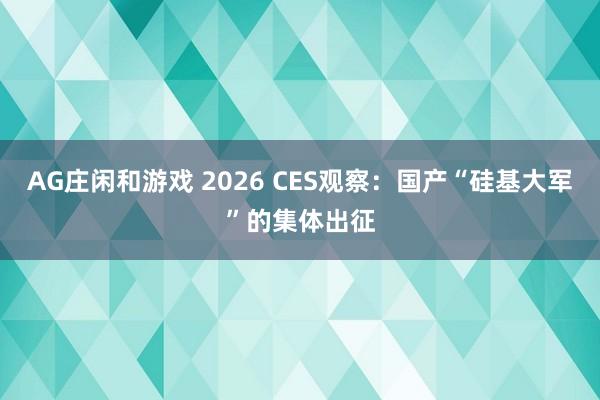 AG庄闲和游戏 2026 CES观察：国产“硅基大军”的集体出征