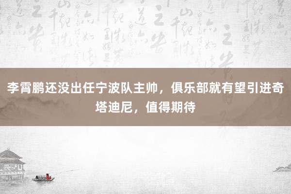 李霄鹏还没出任宁波队主帅，俱乐部就有望引进奇塔迪尼，值得期待