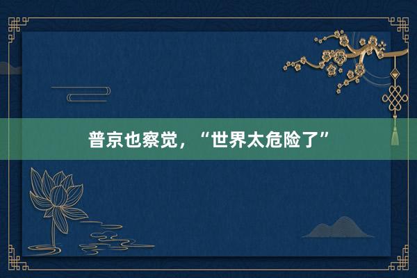 普京也察觉，“世界太危险了”