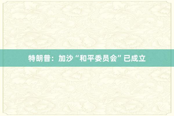 特朗普：加沙“和平委员会”已成立