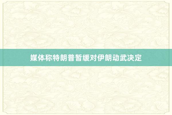 媒体称特朗普暂缓对伊朗动武决定