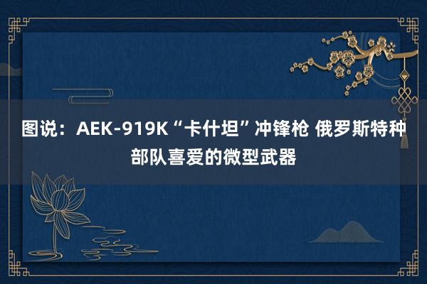 图说：AEK-919K“卡什坦”冲锋枪 俄罗斯特种部队喜爱的微型武器