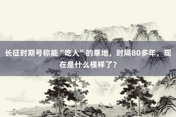 长征时期号称能“吃人”的草地，时隔80多年，现在是什么模样了？