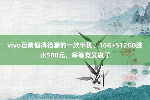vivo目前值得捡漏的一款手机，16G+512GB跳水500元，等等党又赢了