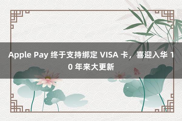 Apple Pay 终于支持绑定 VISA 卡，喜迎入华 10 年来大更新