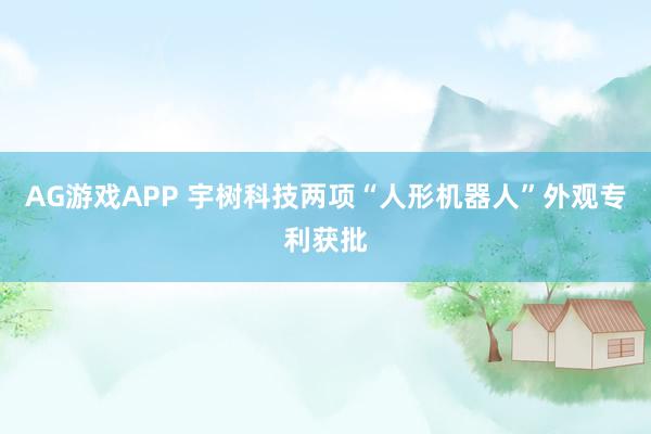 AG游戏APP 宇树科技两项“人形机器人”外观专利获批