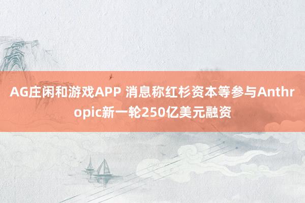 AG庄闲和游戏APP 消息称红杉资本等参与Anthropic新一轮250亿美元融资