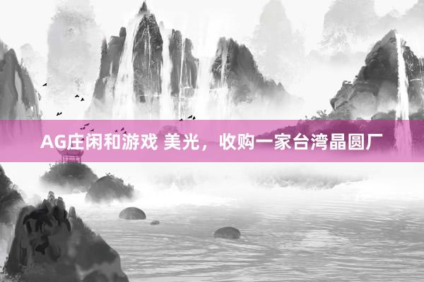 AG庄闲和游戏 美光，收购一家台湾晶圆厂