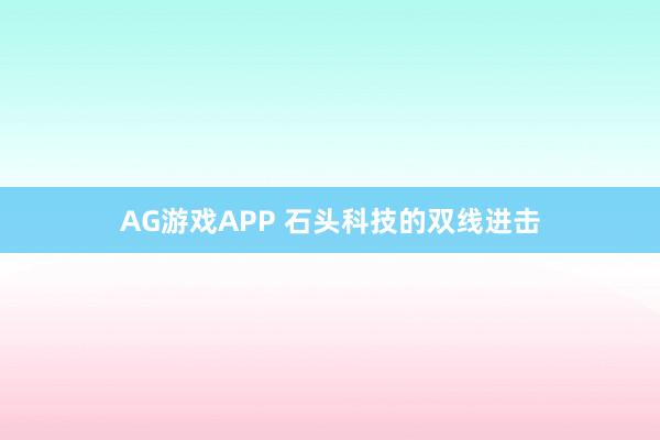 AG游戏APP 石头科技的双线进击