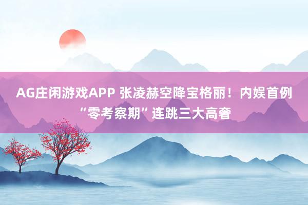 AG庄闲游戏APP 张凌赫空降宝格丽！内娱首例“零考察期”连跳三大高奢