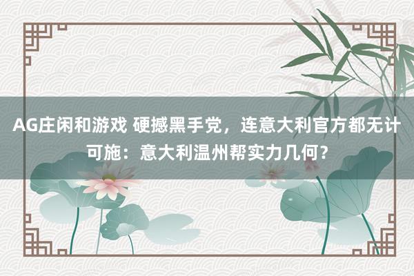 AG庄闲和游戏 硬撼黑手党,连意大利官方都无计可施:意大利温州帮实力几何?