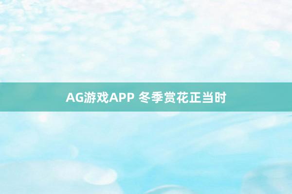 AG游戏APP 冬季赏花正当时