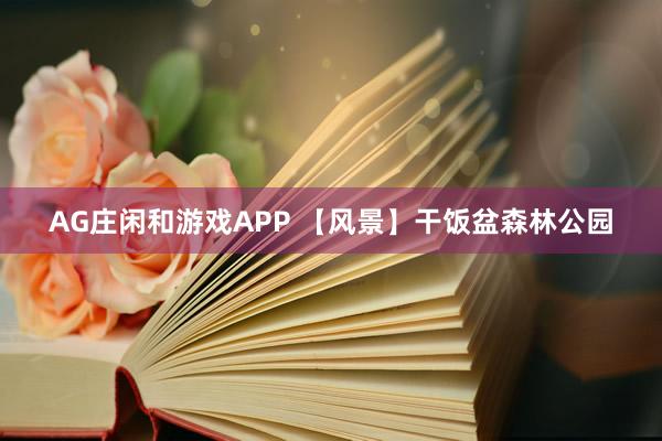 AG庄闲和游戏APP 【风景】干饭盆森林公园