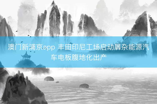 澳门新浦京app 丰田印尼工场启动羼杂能源汽车电板腹地化出产