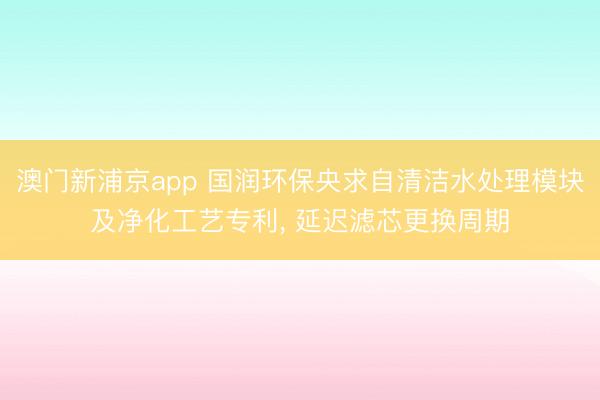 澳门新浦京app 国润环保央求自清洁水处理模块及净化工艺专利, 延迟滤芯更换周期