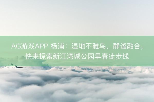 AG游戏APP 杨浦:湿地不雅鸟,静谧融合,快来探索新江湾城公园早春徒步线